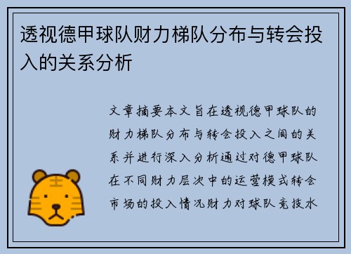 透视德甲球队财力梯队分布与转会投入的关系分析