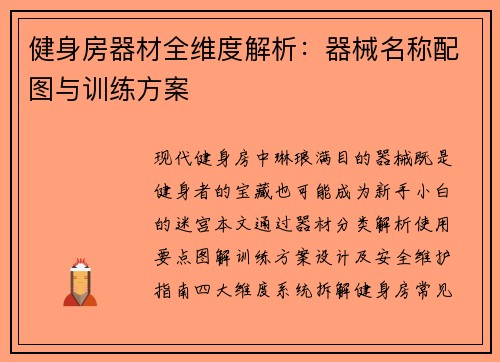 健身房器材全维度解析：器械名称配图与训练方案